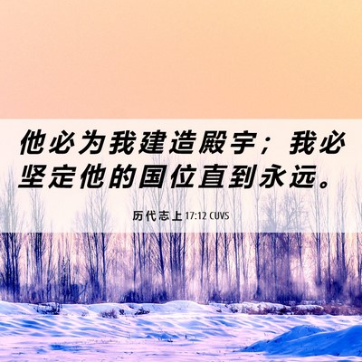 Picture 06 - 历 代 志 上 17:12 CUVS - 他 必 为 我 建 造 殿 宇 ； 我 必 坚 - Bible Verse Picture