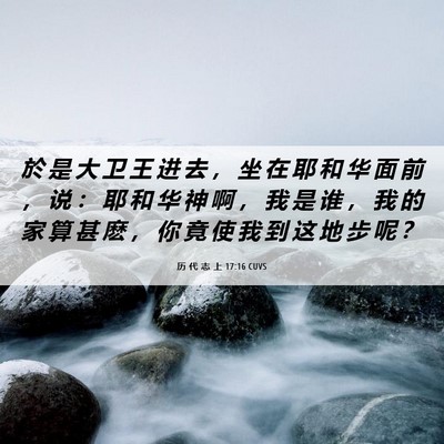 Picture 06 - 历 代 志 上 17:16 CUVS - 於 是 大 卫 王 进 去 ， 坐 在 耶 和 - Bible Verse Picture