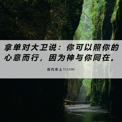 Picture 06 - 历 代 志 上 17:2 CUVS - 拿 单 对 大 卫 说 ： 你 可 以 照 你 - Bible Verse Picture