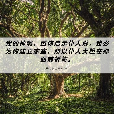 Picture 06 - 历 代 志 上 17:25 CUVS - 我 的 神 啊 ， 因 你 启 示 仆 人 说 - Bible Verse Picture