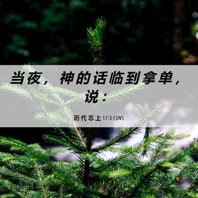 Picture 06 - 历 代 志 上 17:3 CUVS - 当 夜 ， 神 的 话 临 到 拿 单 ， 说 - Bible Verse Picture