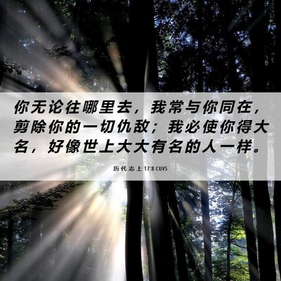 Picture 06 - 历 代 志 上 17:8 CUVS - 你 无 论 往 哪 里 去 ， 我 常 与 你 - Bible Verse Picture