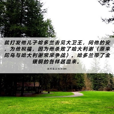 Picture 06 - 历 代 志 上 18:10 CUVS - 就 打 发 他 儿 子 哈 多 兰 去 见 大 - Bible Verse Picture