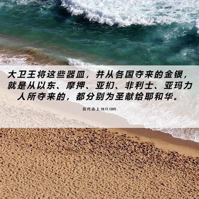Picture 06 - 历 代 志 上 18:11 CUVS - 大 卫 王 将 这 些 器 皿 ， 并 从 各 - Bible Verse Picture