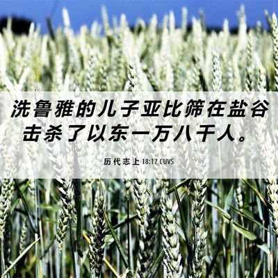 Picture 06 - 历 代 志 上 18:12 CUVS - 洗 鲁 雅 的 儿 子 亚 比 筛 在 盐 谷 - Bible Verse Picture