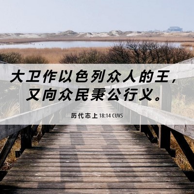 Picture 06 - 历 代 志 上 18:14 CUVS - 大 卫 作 以 色 列 众 人 的 王 ， 又 - Bible Verse Picture