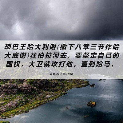 Picture 06 - 历 代 志 上 18:3 CUVS - 琐 巴 王 哈 大 利 谢 ( 撒 下 八 章 三 - Bible Verse Picture