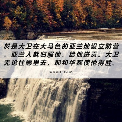 Picture 06 - 历 代 志 上 18:6 CUVS - 於 是 大 卫 在 大 马 色 的 亚 兰 地 - Bible Verse Picture