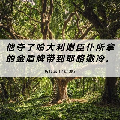 Picture 06 - 历 代 志 上 18:7 CUVS - 他 夺 了 哈 大 利 谢 臣 仆 所 拿 的 - Bible Verse Picture