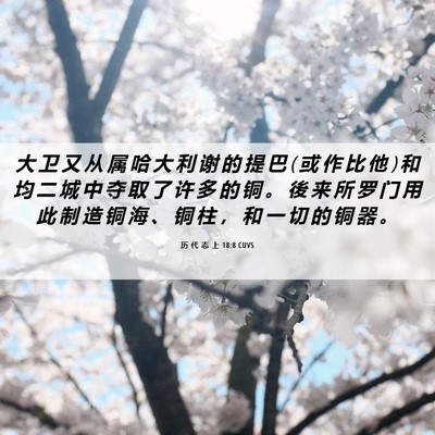 Picture 06 - 历 代 志 上 18:8 CUVS - 大 卫 又 从 属 哈 大 利 谢 的 提 巴 ( - Bible Verse Picture