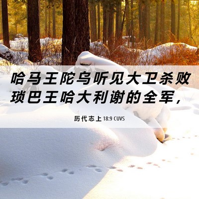 Picture 06 - 历 代 志 上 18:9 CUVS - 哈 马 王 陀 乌 听 见 大 卫 杀 败 琐 - Bible Verse Picture