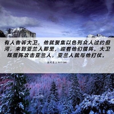Picture 06 - 历 代 志 上 19:17 CUVS - 有 人 告 诉 大 卫 ， 他 就 聚 集 以 - Bible Verse Picture
