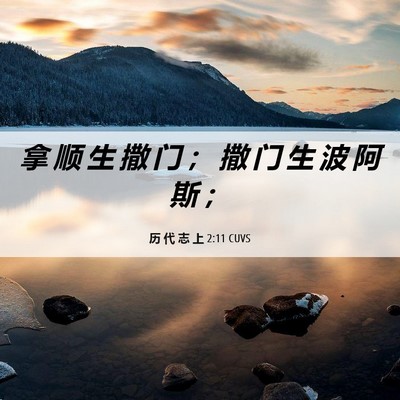Picture 06 - 历 代 志 上 2:11 CUVS - 拿 顺 生 撒 门 ； 撒 门 生 波 阿 斯 - Bible Verse Picture