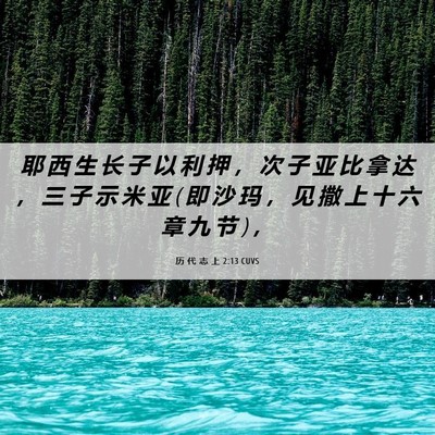 Picture 06 - 历 代 志 上 2:13 CUVS - 耶 西 生 长 子 以 利 押 ， 次 子 亚 - Bible Verse Picture