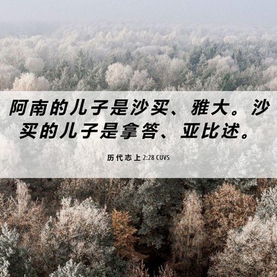 Picture 06 - 历 代 志 上 2:28 CUVS - 阿 南 的 儿 子 是 沙 买 、 雅 大 。 - Bible Verse Picture