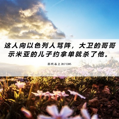 Picture 06 - 历 代 志 上 20:7 CUVS - 这 人 向 以 色 列 人 骂 阵 ， 大 卫 - Bible Verse Picture