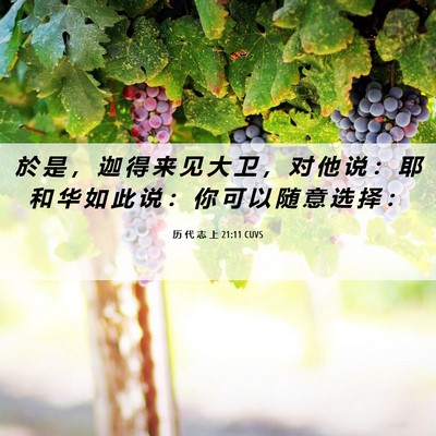 Picture 06 - 历 代 志 上 21:11 CUVS - 於 是 ， 迦 得 来 见 大 卫 ， 对 他 - Bible Verse Picture