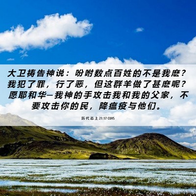Picture 06 - 历 代 志 上 21:17 CUVS - 大 卫 祷 告 神 说 ： 吩 咐 数 点 百 - Bible Verse Picture