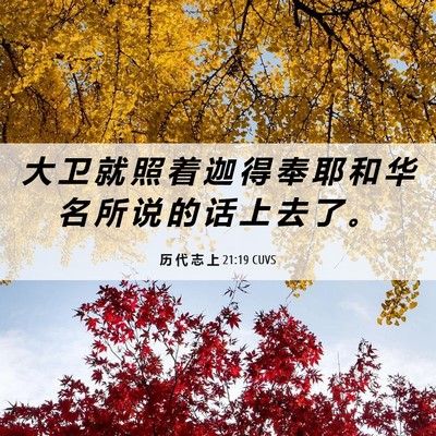 Picture 06 - 历 代 志 上 21:19 CUVS - 大 卫 就 照 着 迦 得 奉 耶 和 华 名 - Bible Verse Picture
