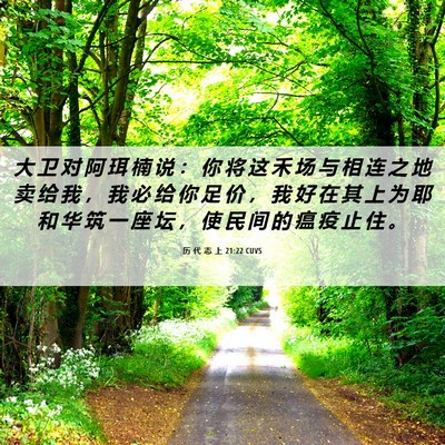 Picture 06 - 历 代 志 上 21:22 CUVS - 大 卫 对 阿 珥 楠 说 ： 你 将 这 禾 - Bible Verse Picture