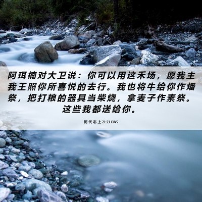 Picture 06 - 历 代 志 上 21:23 CUVS - 阿 珥 楠 对 大 卫 说 ： 你 可 以 用 - Bible Verse Picture