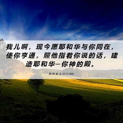 Picture 06 - 历 代 志 上 22:11 CUVS - 我 儿 啊 ， 现 今 愿 耶 和 华 与 你 - Bible Verse Picture