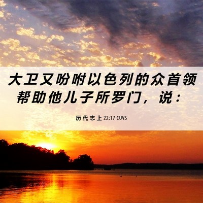 Picture 06 - 历 代 志 上 22:17 CUVS - 大 卫 又 吩 咐 以 色 列 的 众 首 领 - Bible Verse Picture