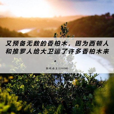Picture 06 - 历 代 志 上 22:4 CUVS - 又 预 备 无 数 的 香 柏 木 ， 因 为 - Bible Verse Picture
