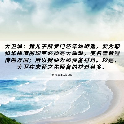 Picture 06 - 历 代 志 上 22:5 CUVS - 大 卫 说 ： 我 儿 子 所 罗 门 还 年 - Bible Verse Picture