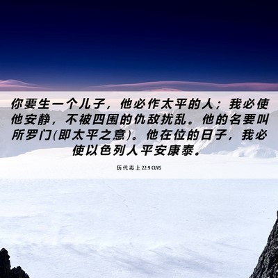 Picture 06 - 历 代 志 上 22:9 CUVS - 你 要 生 一 个 儿 子 ， 他 必 作 太 - Bible Verse Picture