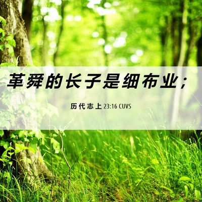 Picture 06 - 历 代 志 上 23:16 CUVS - 革 舜 的 长 子 是 细 布 业 - Bible Verse Picture