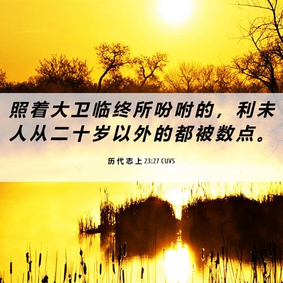 Picture 06 - 历 代 志 上 23:27 CUVS - 照 着 大 卫 临 终 所 吩 咐 的 ， 利 - Bible Verse Picture