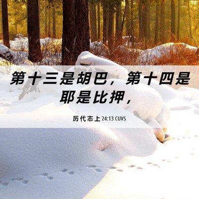 Picture 06 - 历 代 志 上 24:13 CUVS - 第 十 三 是 胡 巴 ， 第 十 四 是 耶 - Bible Verse Picture