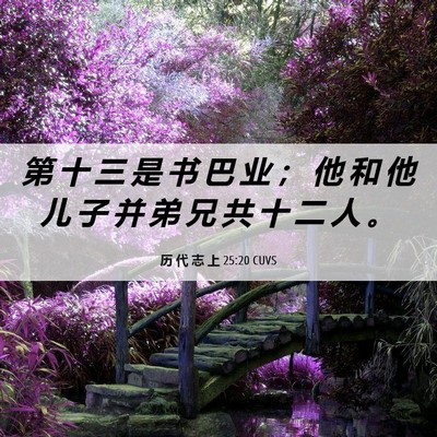 Picture 06 - 历 代 志 上 25:20 CUVS - 第 十 三 是 书 巴 业 ； 他 和 他 儿 - Bible Verse Picture