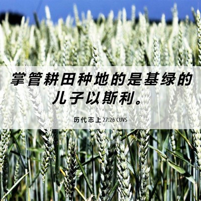 Picture 06 - 历 代 志 上 27:26 CUVS - 掌 管 耕 田 种 地 的 是 基 绿 的 儿 - Bible Verse Picture