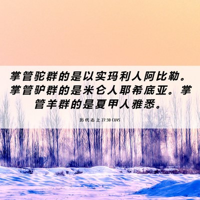 Picture 06 - 历 代 志 上 27:30 CUVS - 掌 管 驼 群 的 是 以 实 玛 利 人 阿 - Bible Verse Picture