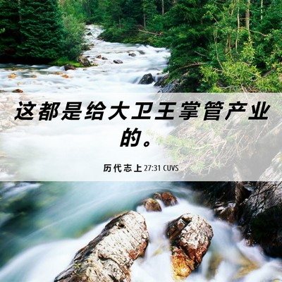 Picture 06 - 历 代 志 上 27:31 CUVS - 这 都 是 给 大 卫 王 掌 管 产 业 的 - Bible Verse Picture