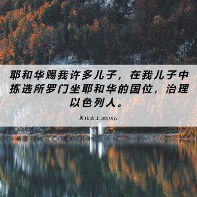 Picture 06 - 历 代 志 上 28:5 CUVS - 耶 和 华 赐 我 许 多 儿 子 ， 在 我 - Bible Verse Picture