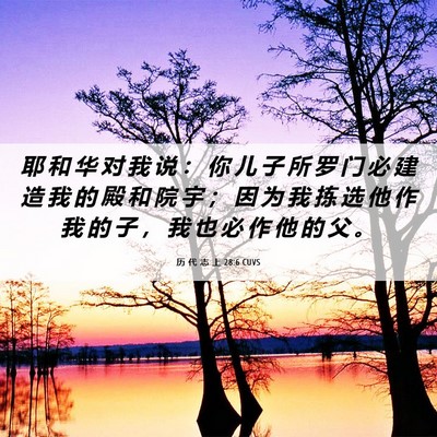 Picture 06 - 历 代 志 上 28:6 CUVS - 耶 和 华 对 我 说 ： 你 儿 子 所 罗 - Bible Verse Picture