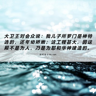 Picture 06 - 历 代 志 上 29:1 CUVS - 大 卫 王 对 会 众 说 ： 我 儿 子 所 - Bible Verse Picture