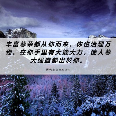 Picture 06 - 历 代 志 上 29:12 CUVS - 丰 富 尊 荣 都 从 你 而 来 ， 你 也 - Bible Verse Picture