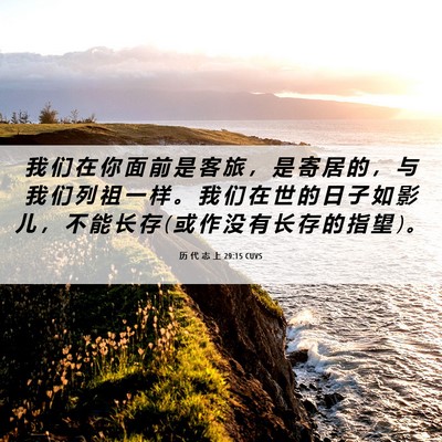 Picture 06 - 历 代 志 上 29:15 CUVS - 我 们 在 你 面 前 是 客 旅 ， 是 寄 - Bible Verse Picture