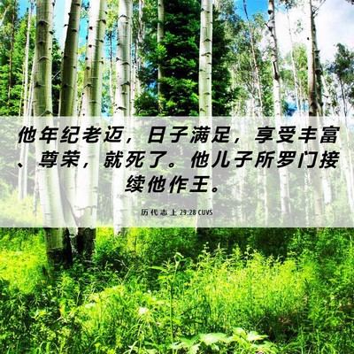 Picture 06 - 历 代 志 上 29:28 CUVS - 他 年 纪 老 迈 ， 日 子 满 足 ， 享 - Bible Verse Picture