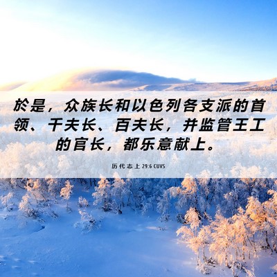 Picture 06 - 历 代 志 上 29:6 CUVS - 於 是 ， 众 族 长 和 以 色 列 各 支 - Bible Verse Picture