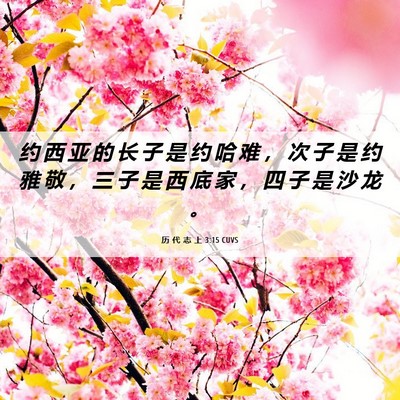 Picture 06 - 历 代 志 上 3:15 CUVS - 约 西 亚 的 长 子 是 约 哈 难 ， 次 - Bible Verse Picture