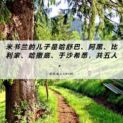 Picture 06 - 历 代 志 上 3:20 CUVS - 米 书 兰 的 儿 子 是 哈 舒 巴 、 阿 - Bible Verse Picture