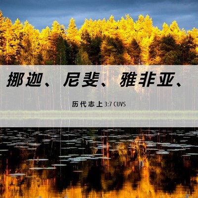 Picture 06 - 历 代 志 上 3:7 CUVS - 挪 迦 、 尼 斐 、 雅 非 亚 - Bible Verse Picture