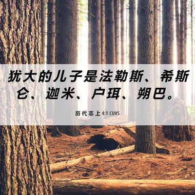 Picture 06 - 历 代 志 上 4:1 CUVS - 犹 大 的 儿 子 是 法 勒 斯 、 希 斯 - Bible Verse Picture