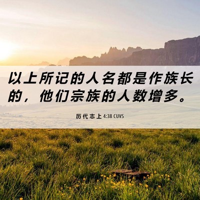 Picture 06 - 历 代 志 上 4:38 CUVS - 以 上 所 记 的 人 名 都 是 作 族 长 - Bible Verse Picture