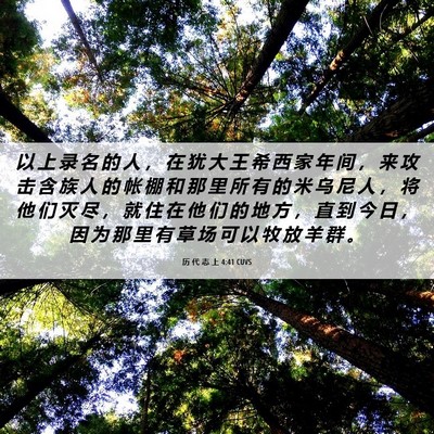Picture 06 - 历 代 志 上 4:41 CUVS - 以 上 录 名 的 人 ， 在 犹 大 王 希 - Bible Verse Picture